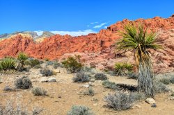 Red Rock Canyon